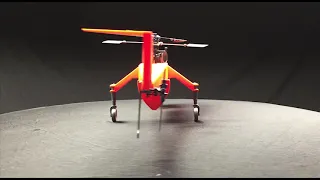 SKYCRANE 3D Printed Helicopter.