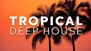 Avicii, Dua Lipa, Coldplay, Kygo, Martin Garrix & The Chainsmokers Style - Tropical Summer Records