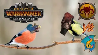 BIRD LORD DUEL OF FATES | Tzeentch vs Beastmen - Total War Warhammer 3