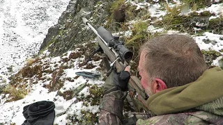 260 Remington Vs Majestic Bull Tahr. Hunting the Alps of NZ. 500m Shot on a trophy of a lifetime!