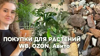 Обзор новых растений💚Покупки с WB, Ozon, Авито