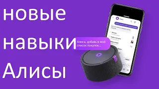 Чему новому научилась Алиса за весь 2020 год ?