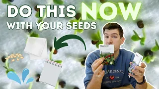 Seeds That Need To Be Started NOW!