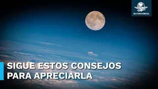 ¡No te pierdas la Luna Rosa! Esto es lo que debes saber