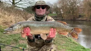 Big River Pike Fishing with Lamprey