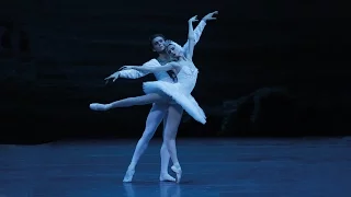 Swan Lake | Svetlana Zakharova & Denis Rodkin | Bolshoi Ballet 2015 (DVD/Blu-ray highlight)