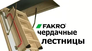 Как выбрать чердачную лестницу, Обзор чердачных лестниц Fakro