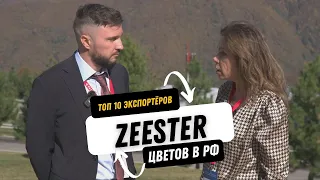 Оптовый поставщик цветов из Голландии. Zeester- Топ 10 оптовых поставщиков цветов из Нидерландов