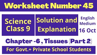 Worksheet 45 | Science Class 9 | Worksheet number 45 | aaj ki worksheet | DOE | Tissue