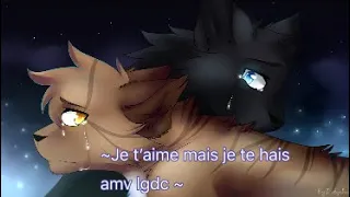 Amv lgdc je t’aime mais je te hais feuille de Lune