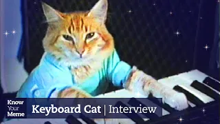 The Keyboard Cat Story You Never Knew | Meet the Meme