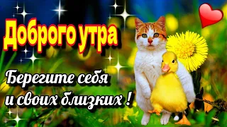 💗Берегите себя и своих близких🙏Красивое музыкальное пожелание доброго утра🙏Желаю мира и добра!