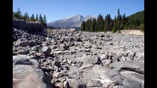 Mount St. Helens Creature Search No. 224