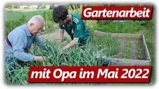 Gartenarbeit Mai 2022 | Gemüsegarten mit Hochbeeten, Aussaat, Auspflanzen, Ernten mit Opa