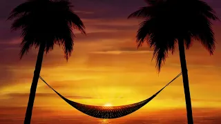 🏝🎶 Palm Trees Hammock Sunset Summer Relax VJ Loop Video Background
