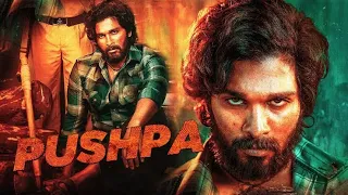 Pushpa The Rise Full Movie Explained In Hindi | Allu Arjun | Rashmika Mandanna | Shnik Explains