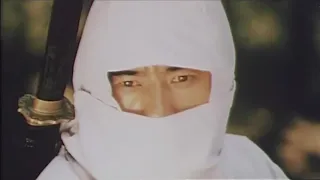 Ninja keselyük