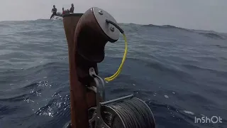 Spearfishing in Terceira - Captura de um belo exemplar de Badejo