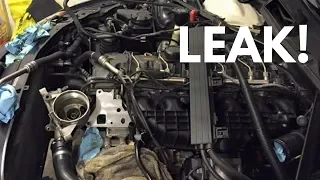 BMW Engine Oil Leaks Tutorial!
