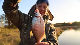 ЗАКИДУШКИ с ночёвкой. СОМ на повороте реки. КЕМПИНГ В ДОЖДЬ. #407