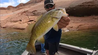 Bass Fisherman’s Paradise!! + Smallmouth Bass Catch n’ Cook