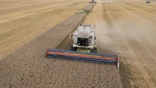 Польша продлевает эмбарго на зерно из Украины в одностороннем порядке