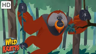 Primates | Orangutans, Monkeys, Tarsiers + more! [Full Episodes] Wild Kratts