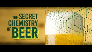 The Secret Chemistry of Beer: Online Learning with Professor Jim Hutchison
