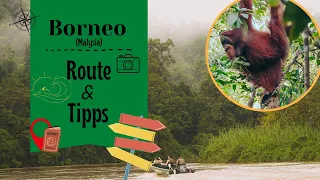 Borneo Abenteuer - Orang Utans, Route und Tipps 2,5 Wochen Rundreise Weltreise 22