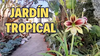 ¡Sé tu Propio Paisajista! Cómo Diseñar un Jardín Tropical que Dejará a Todos sin Palabras 🗣️🌺