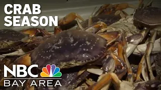 Bay Area's commercial Dungeness crab season opens after delay