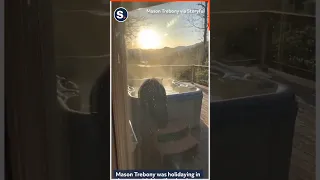 Bear Relaxes in Hot Tub in Great Smoky Mountains, Tennessee