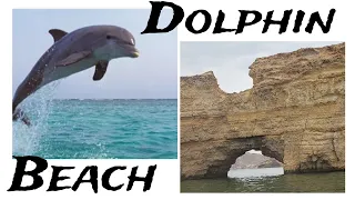 ഡോൾഫിനെ കാണാൻ പോയാലോ //Dolphin//Beach