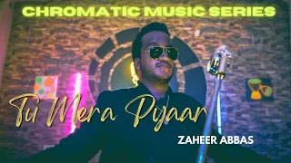 Tu Mera Pyaar | OFFICIAL VIDEO | CHROMATIC SERIES | SUNG BY Zaher Abbas | LATEST 2023