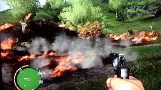 Massive Forest Fire Farcry 3