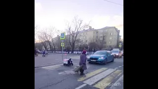 Бабушка переводит через дорогу робота Яндекс