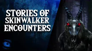 EVIL APPROACHES - 20 SCARY SKINWALKER ENCOUNTERS AND SKINWALKER SIGHTINGS - What Lurks Above