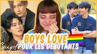 🌈 LES BL (BOYS LOVE) POUR LES DÉBUTANTS 🏳️‍🌈