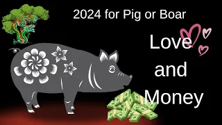 Pig or Boar – Chinese astrology 2024: Love and Money Predictions
