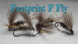 Footprint F Fly By Michael Olesen