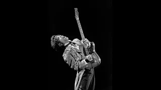 Prince- Controversy Tour, Live at the Met Center (March 7, 1982) AUDIO