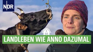 Wenn's kalt wird auf dem Ur-Bauernhof | Die Nordreportage | NDR