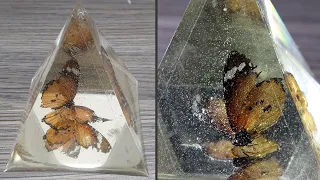 Butterfly in Epoxy Resin|DIY Resin Art|Resin Craft Idea