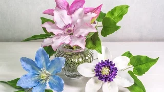 Tutorial Clematis aus Blütenpaste in 3 Varianten**