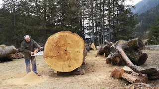 Stihl ms880 150cm vs big oak next part