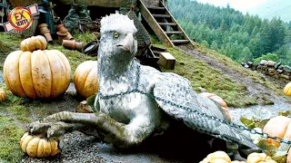 Magical Eagle becomes a true friend | fantasy movie explain in hindi | hollywood movie explain