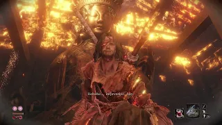 Sekiro - all bosses (HESITATION IS DEFEAT)