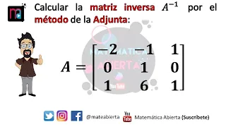 Matriz inversa / Método de la ADJUNTA - cofactores / Ejemplo 1 / (Nivel: Medio)