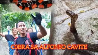 COBRA SA ALFONSO CAVITE | ORANGE SNAKE PUMASOK SA KOTSE#COBRAPRINCE