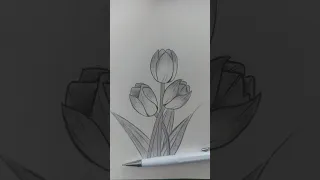 cách vẽ hoa tulip đơn giản